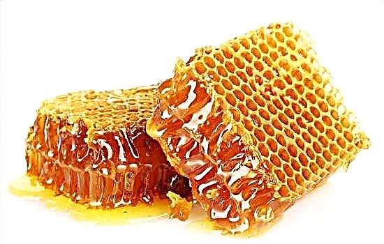 Pancreatitis Honey