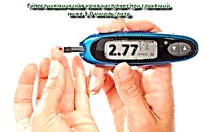 Ang mekanismo ng pag-unlad ng insulin coma