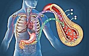 O papel das hormonas pancreáticas no corpo