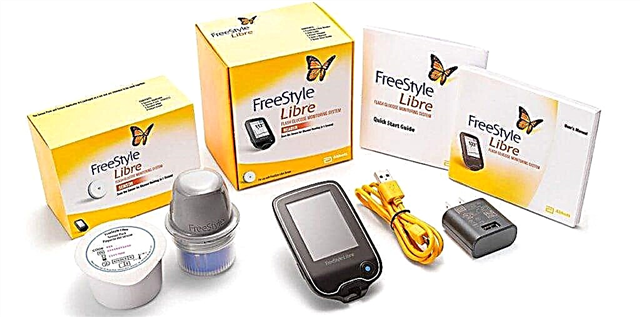 Modernen Touchscreen-Apparat Freestyle Libre