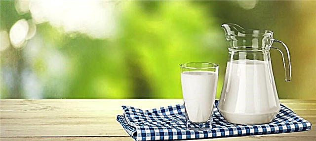 ذیابیطس کے لئے دودھ: ایک سوادج علاج یا نقصان دہ ضمیمہ؟
