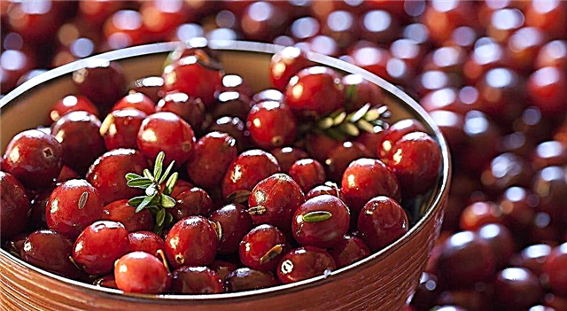 Ang mga cranberry alang sa type 2 diabetes - benepisyo o makadaot?