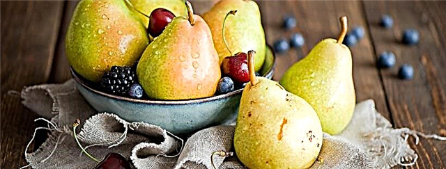 Keuntungan saka pear kanggo diabetes jinis 2 lan resep sing paling apik