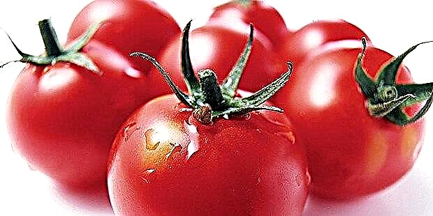 Ṣe o ṣee ṣe lati jẹ awọn tomati fun àtọgbẹ ati bii wọn ṣe wulo