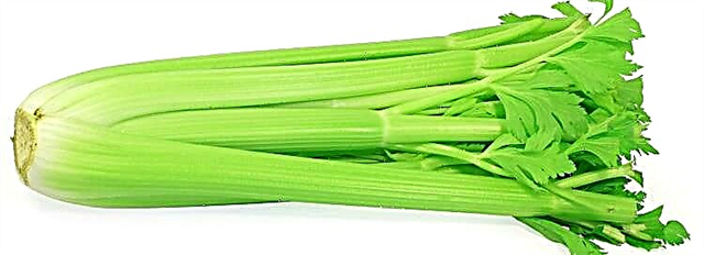 La uzo de celerio en diabeto