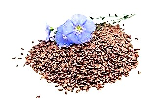 Cal é o produto útil e como usar adecuadamente as sementes de liño para a diabetes tipo 1 e tipo 2