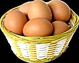 ذیابیطس کے لئے انڈے: کیا اس طرح کے پیتھالوجی کے ل this اس غذا کی مصنوعات کو کھانے کی اجازت ہے؟