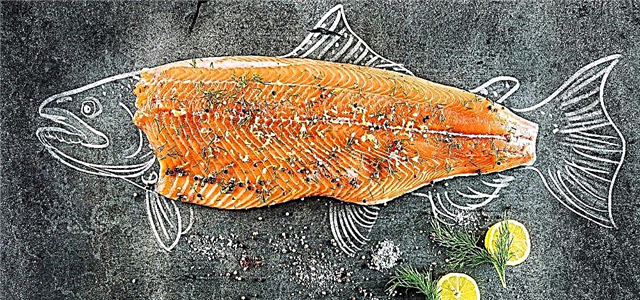Каква риба можам да јадам со дијабетес и како да ја готвам