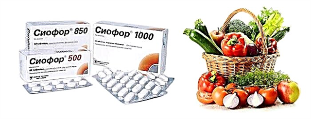 Чихрийн шижинтэй хүмүүст зориулсан Siofor - эмийг хэрэглэх онцлог, дүрэм журам