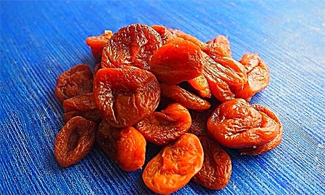 Apa bisa mangan aprikot garing karo diabetes?