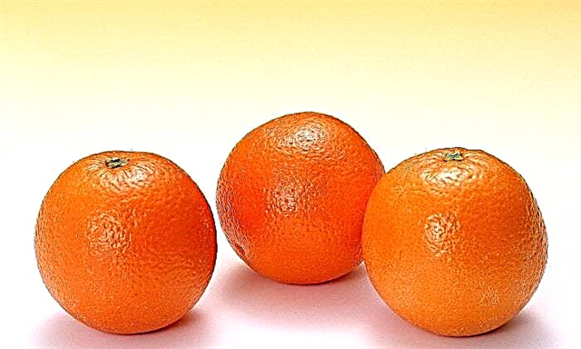 Дали можам да јадам портокал за дијабетес?