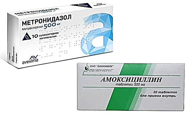 Er hægt að nota amoxicillin og metronidazol saman?
