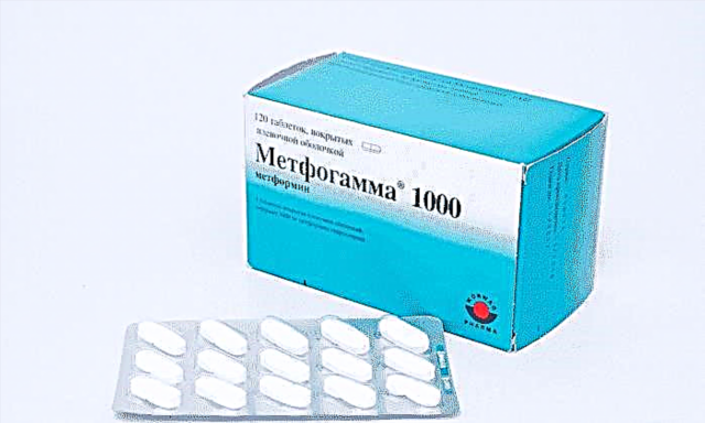 Метфогамма 1000 препараты: қолдану жөніндегі нұсқаулық