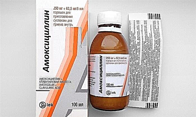 Amoxicillin phoov: kev qhia rau kev siv