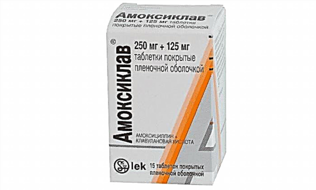 Droga Amoxiclav 250: erabiltzeko argibideak