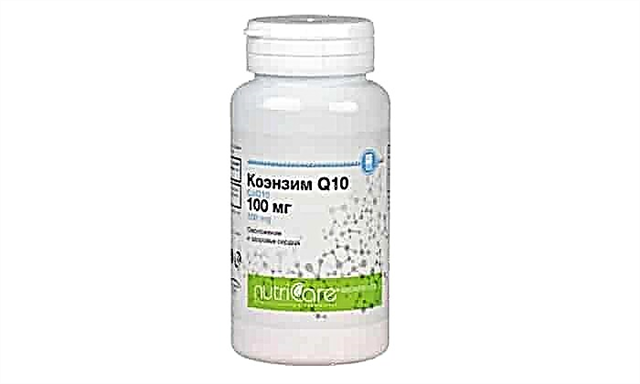 Coenzyme Q10 100: mga tagubilin para sa paggamit