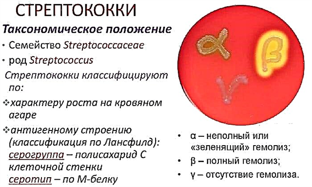 Лечение стрептококка. Стрептококки семейство. Стрептококк передается. Стрептококк таблетки.