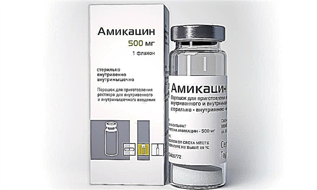 અમીકાસીન 500 દવા: ઉપયોગ માટે સૂચનો