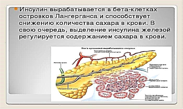 Островки Лангерганса функции. Инсулин островки Лангерганса. Островки Лангерганса поджелудочной железы. Бета клетки островков Лангерганса.