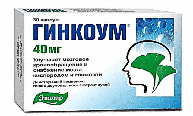 Ginkoum Evalar препараты: қолдану жөніндегі нұсқаулық