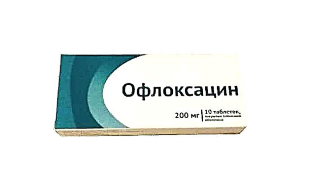 Ofloxacin droga 200: erabiltzeko argibideak
