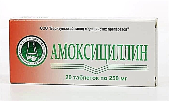 Como usar Amoxicilina?