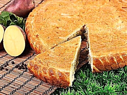 Torta tal-laħam tal-kefir