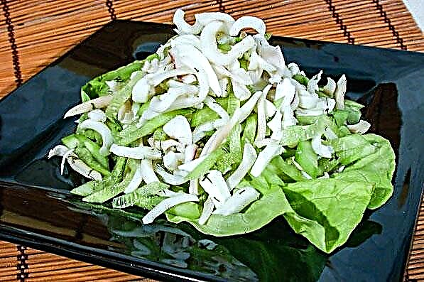 Salad sgwid