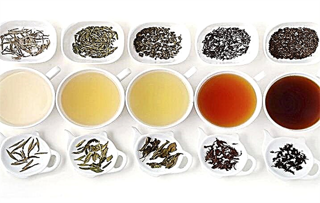 Кант диабети үчүн чай ичсем болобу? Кайсы чай ден-соолукка пайдалуу болот?