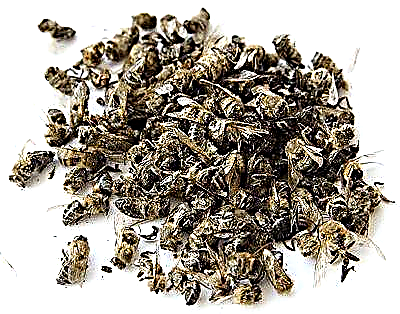 Diabet xəstələri üçün arı qurbanlığı: faydalı xassələri və tətbiq üsulları