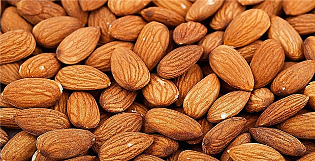 Almonds di tespîtkirina şekir de zerar û zirarê digirin