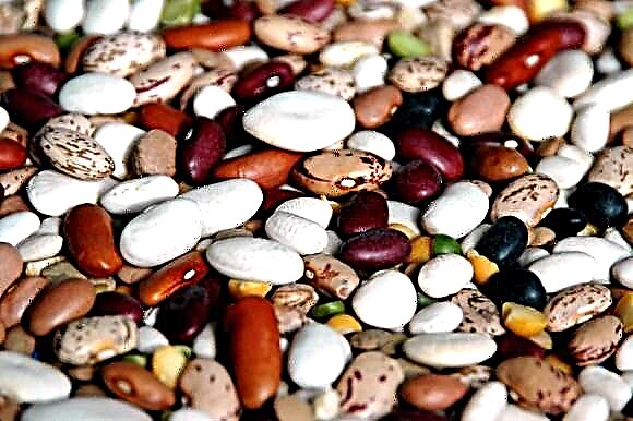 Kacang buncis sing apik kanggo diabetes? Bahan-bahan Kacang Migunani
