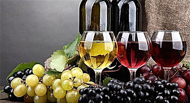Дали можам да пијам вино со дијабетес?