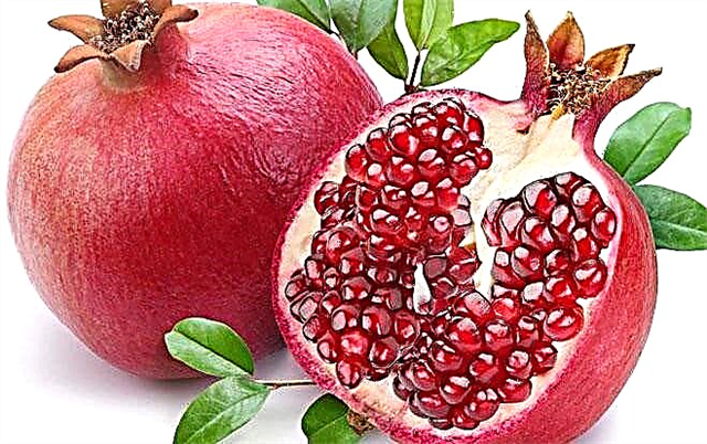Na buntáistí a bhaineann le pomegranate i diaibéiteas