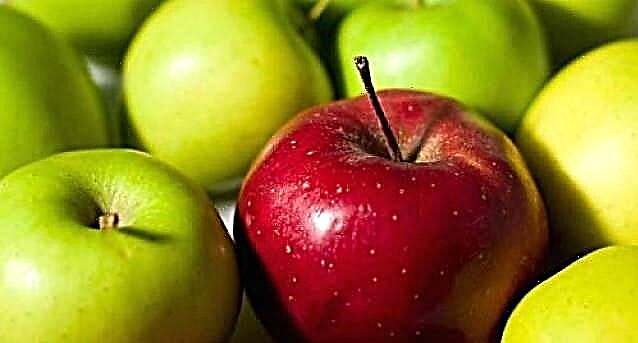 შაქრიანი დიაბეტის დროს ვაშლის სარგებელი და ზიანი