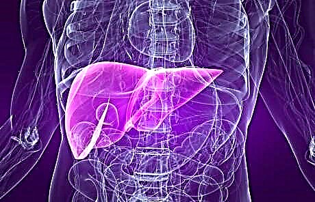 Roli dhe funksionet e mëlçisë në trupin e njeriut